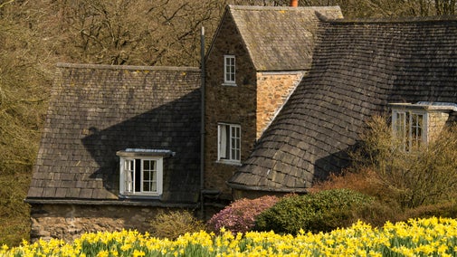 Yellow daffodils cover the meadow beside a stone cottage nestled in the hillside.